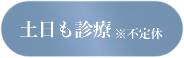 土日も診療 ※不定休